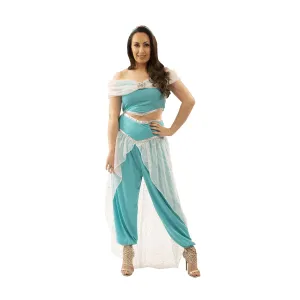 Jasmine Adult Costume Small