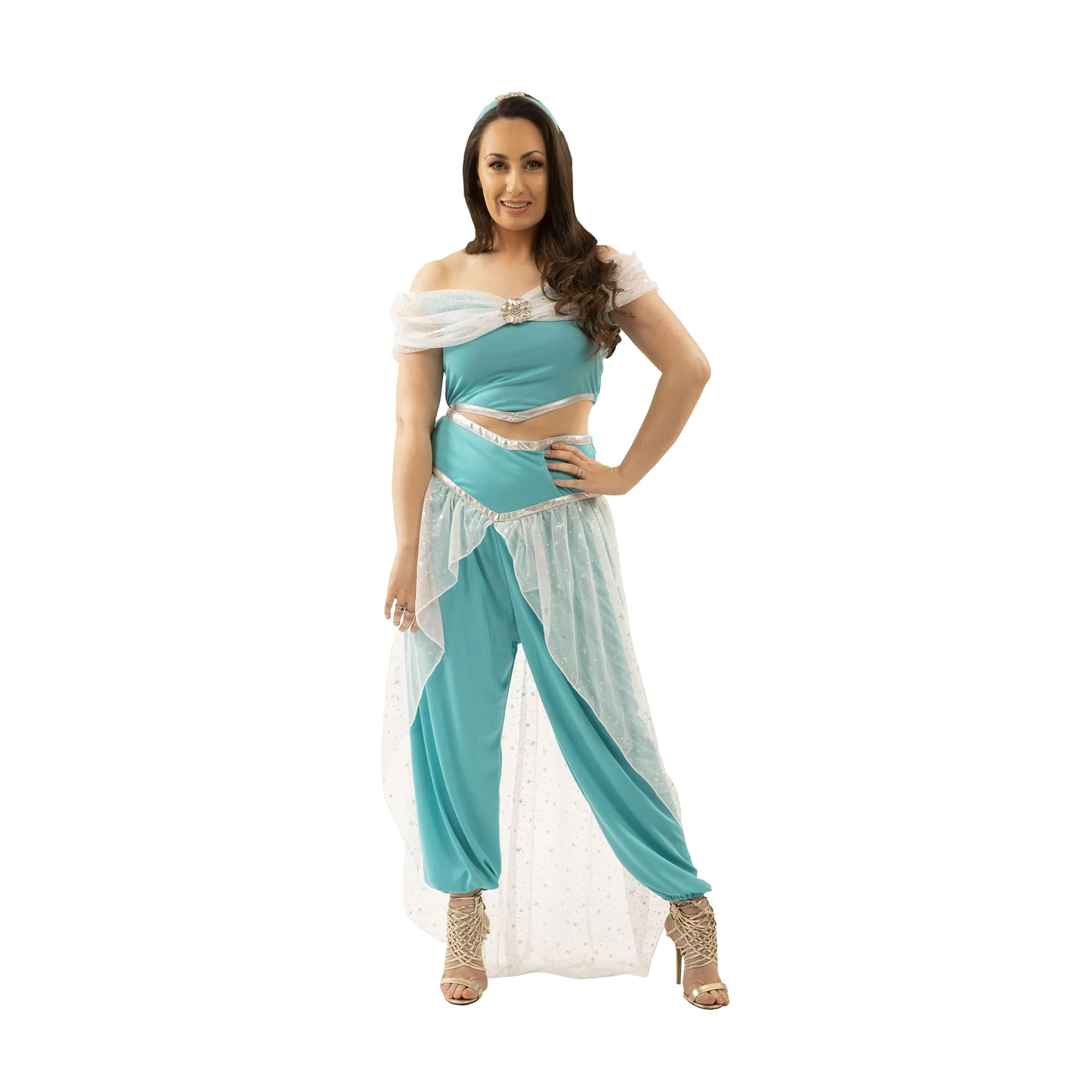 Jasmine Adult Costume Small