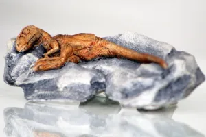 Small Velociraptor Resin Replica Dinorama