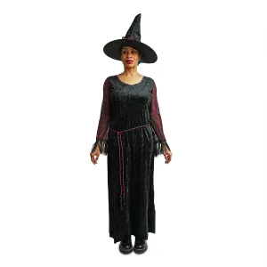 Spider Web Witch Costume