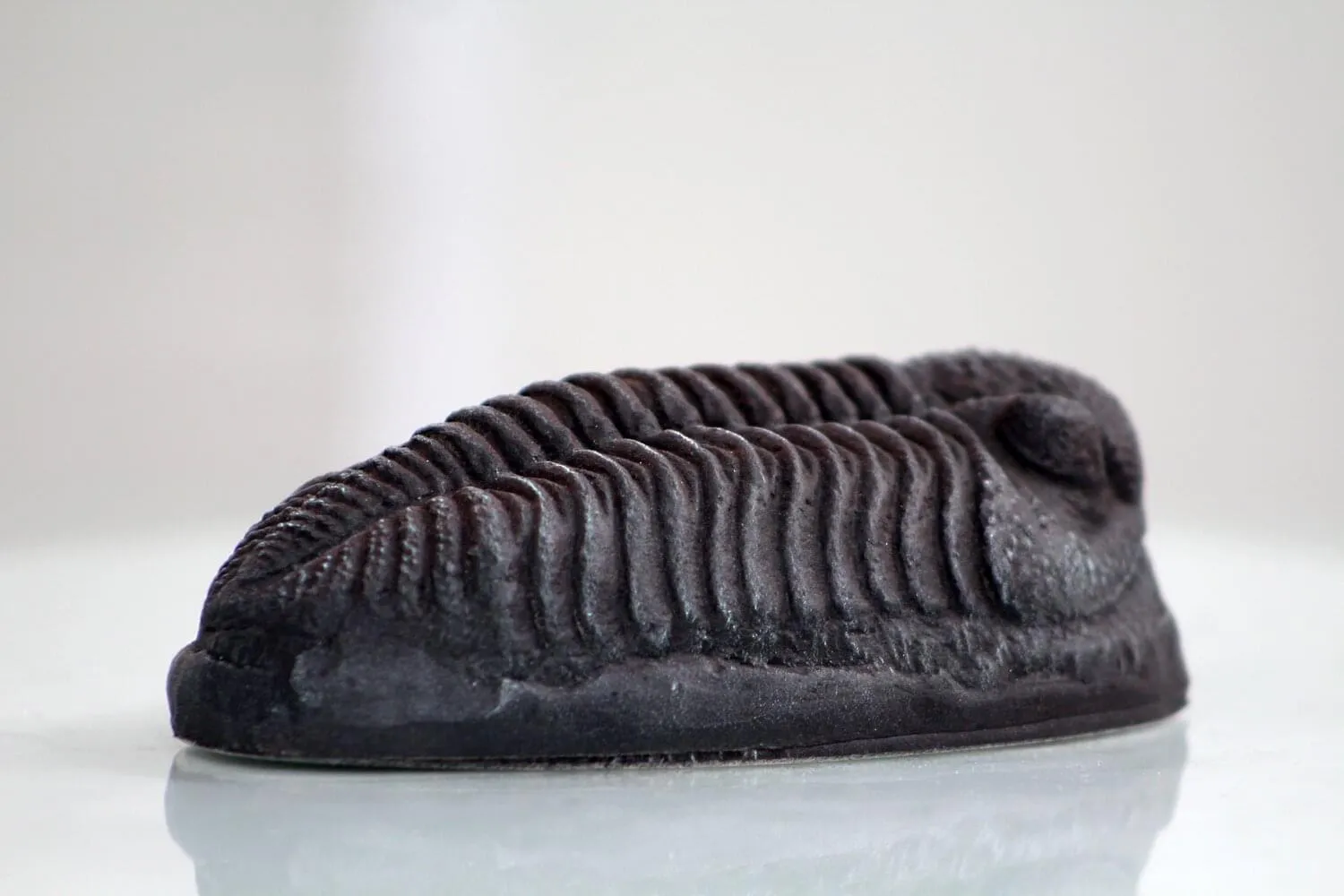 Trilobite Magnet Resin Fossil Replica